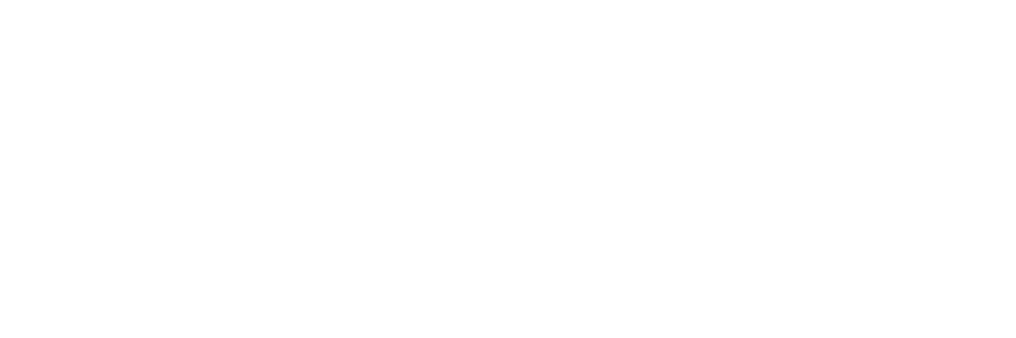B.I. Visual Graphics logo